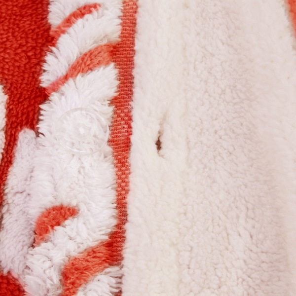 Image 24