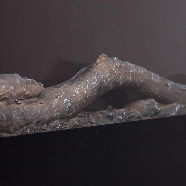 Image 14