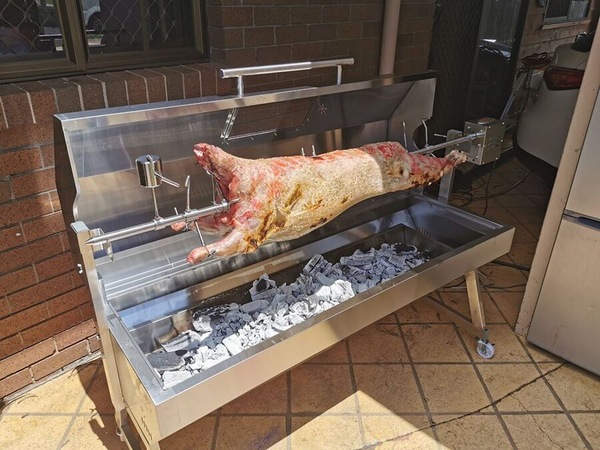 Image 6