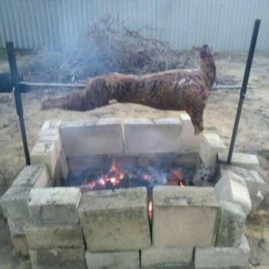 Image 5