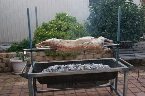 Image 15