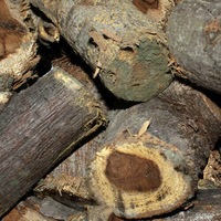 Hickory Smoking Wood Chunks 3kg - Outdoor Magic