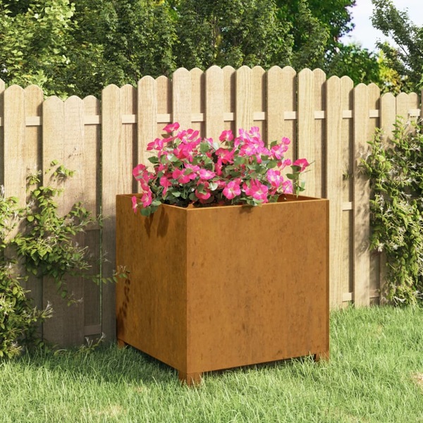 Image 12