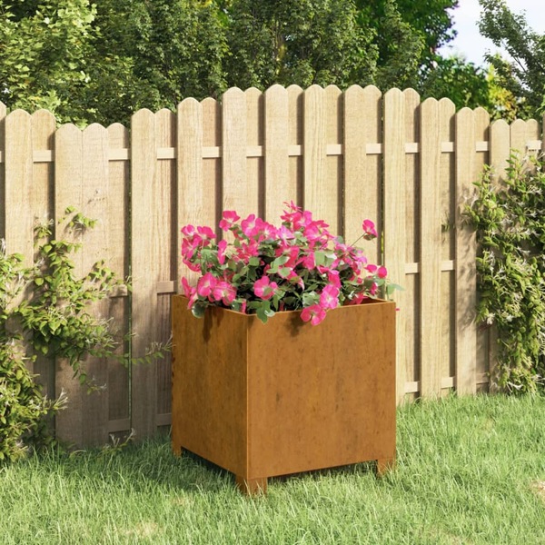 Image 15