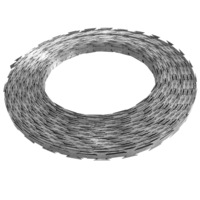 BTO-22 Razor Wire 100 m Steel vidaXL