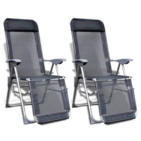 Folding Garden Chairs 2 pcs Aluminium and Textilene Grey vidaXL