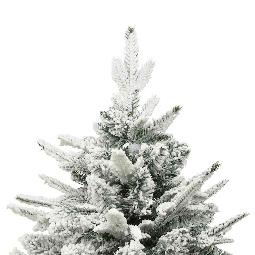 Image 4