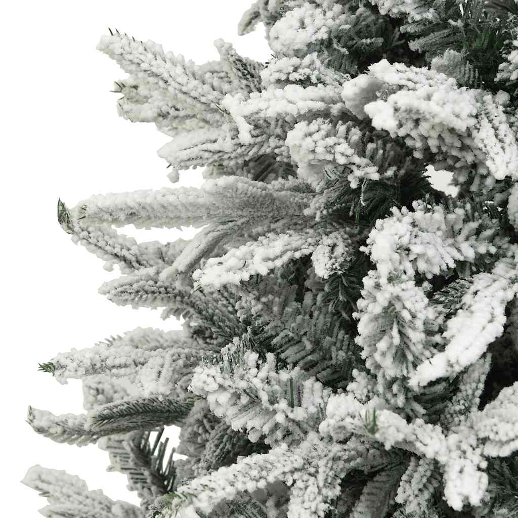 Image 6