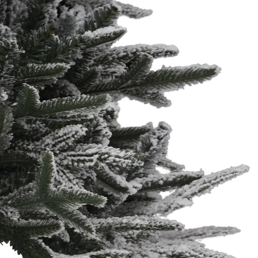 Image 4