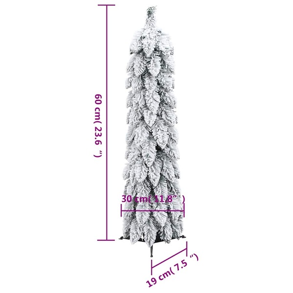 Image 21