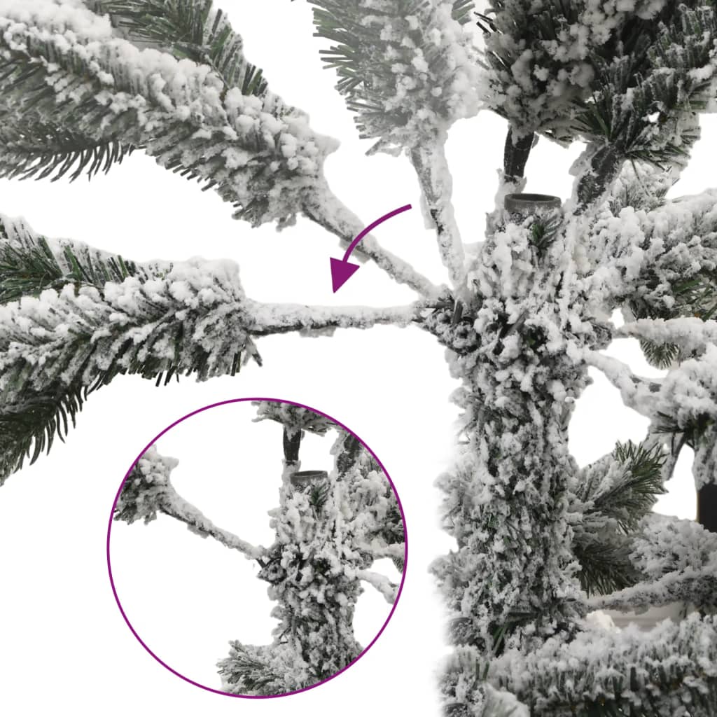 Image 6