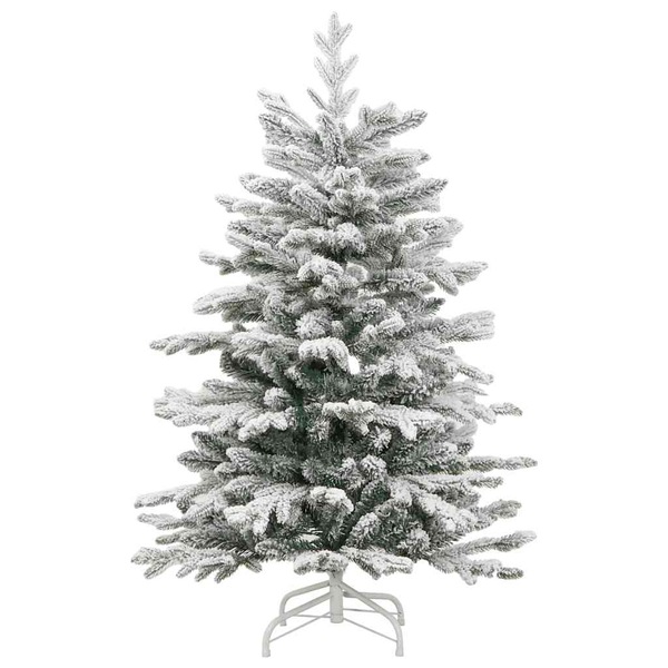 Image 5