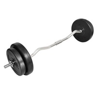 Curl Bar with Weights 30 kg vidaXL