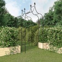 Garden Arches 2 pcs Black 120x38x260 cm Steel vidaXL