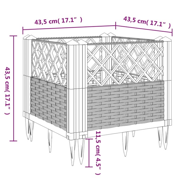 Image 10