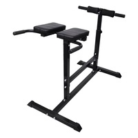 Waist Abdomen Back Trainer vidaXL