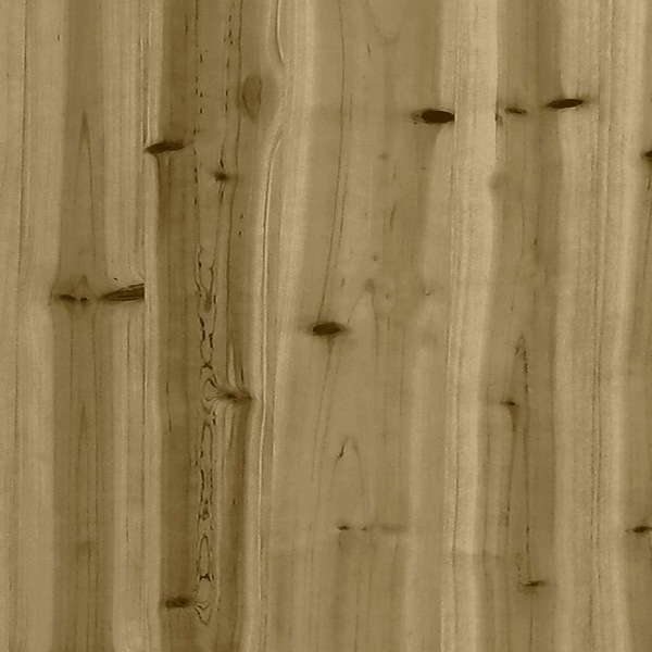 Image 13