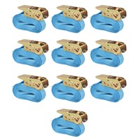 Ratchet Tie Down Straps 10 pcs 0.8 Tonnes 4mx25mm Blue vidaXL