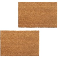 Doormats 2 pcs Coir 24 mm 40x60 cm Natural vidaXL