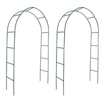 Garden Arch 2 pcs Climbing Plants vidaXL