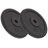 Weight Plates 2 pcs 2x10 kg Cast Iron vidaXL