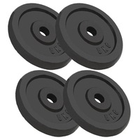 Weight Plates 4 pcs 4x5 kg Cast Iron vidaXL