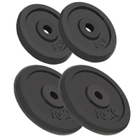 Weight Plates 4 pcs 2x10 kg+2x5 kg Cast Iron vidaXL
