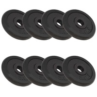 Weight Plates 8 pcs 8x2.5 kg Cast Iron vidaXL