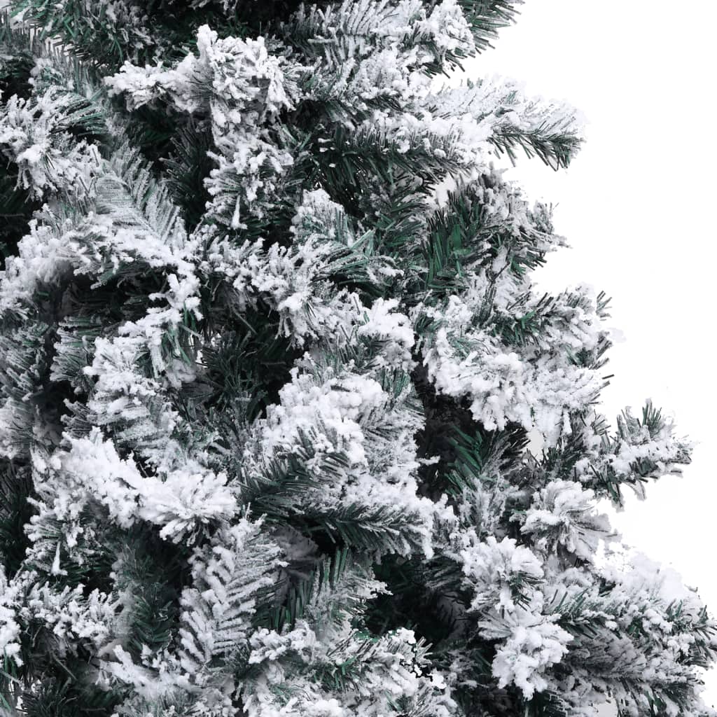 Image 6
