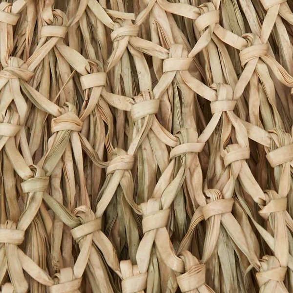 Image 13