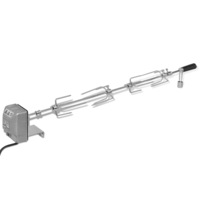 BBQ Rotisserie Spit with Motor Steel 1000 mm vidaXL