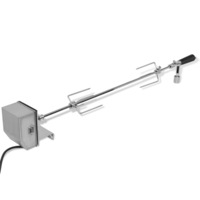 BBQ Rotisserie Spit with Professional Motor Steel 900 mm vidaXL
