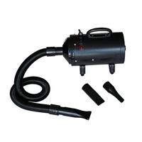 Dog Hair Dryer with 3 Nozzles Black 2400 W vidaXL