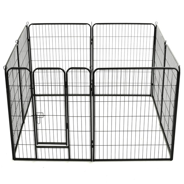 Image 6