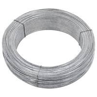 Fence Binding Wire 250 m 2 mm Steel vidaXL