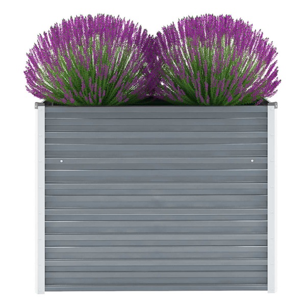 Image 20