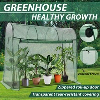Greenhouse with Zippered Door 200x80x170 cm vidaXL