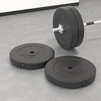Weight Plates 2 pcs 30 kg Cement vidaXL