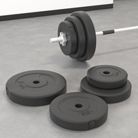 Weight Plates 6 pcs 30 kg Cement vidaXL
