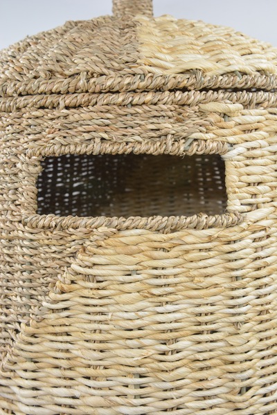 Image 17