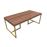 Shaan Coffee Table Elegant Centerpiece with Gold Detailing and Spacious Surface Walnut and Gold