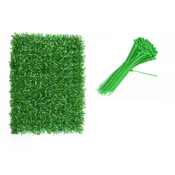 Image 9
