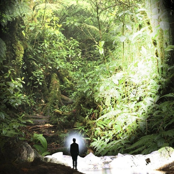 Image 4