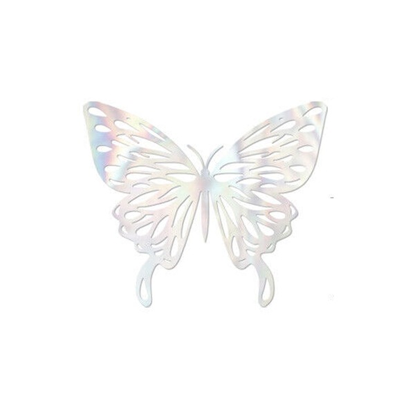 Image 14