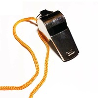 2X Metal Sports Whistle Referee Indoor Outdoor Match Camping