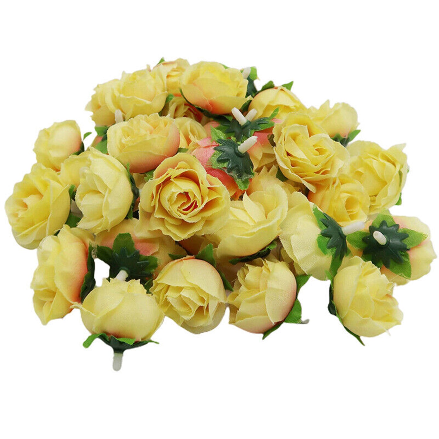 Image 16