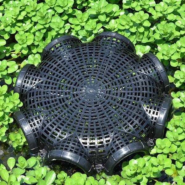 Image 9