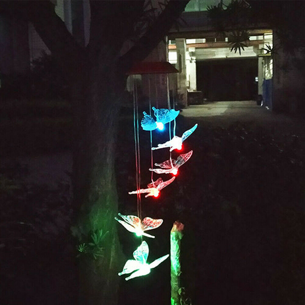 Image 8