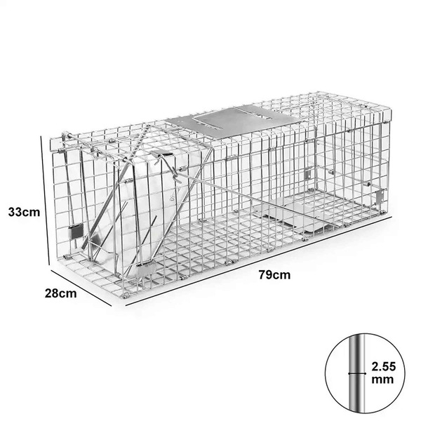 Image 7