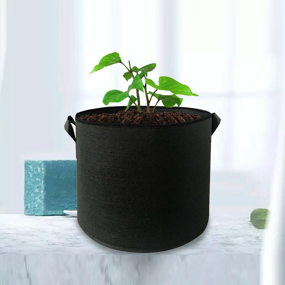 Image 7
